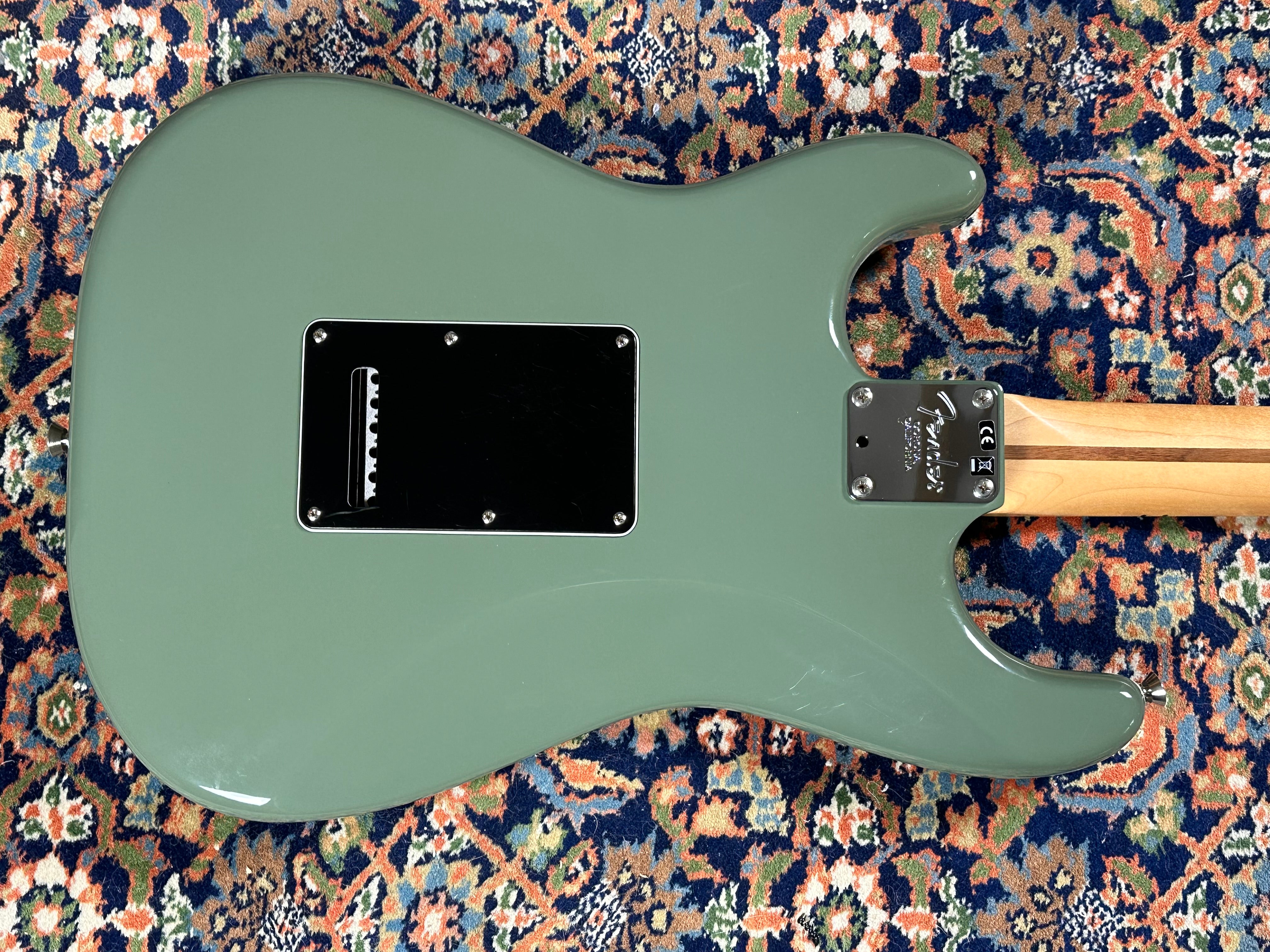 Fender American Professional Maple Fingerboard Stratocaster 2016 Antique Olive