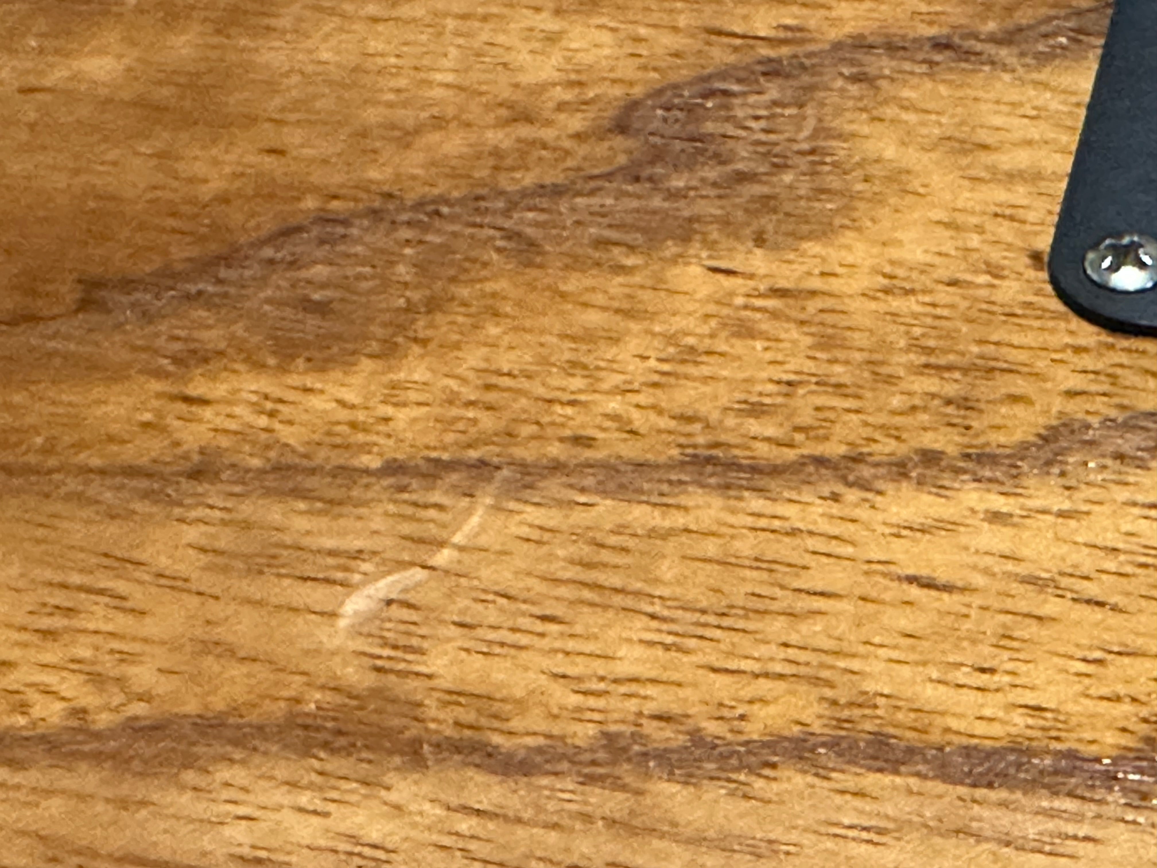 Fender American Vintage '56 LTD Roasted Ash Stratocaster 2017